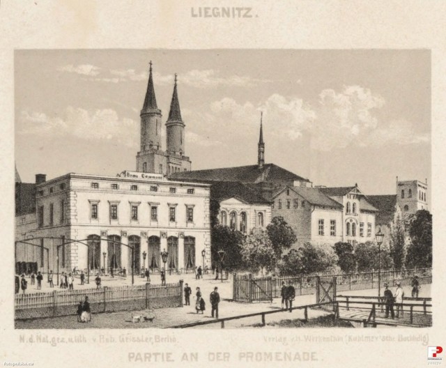 Ulica Witelona w Legnicy z Kościołem Mariackim w tle na litografii R. Geisslera.
Lata 1866-1893