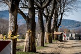 Szczawno-Zdrój: Ulica  w okolicy cmentarza zmieni przebieg, będzie nowy parking (ZDJĘCIA)