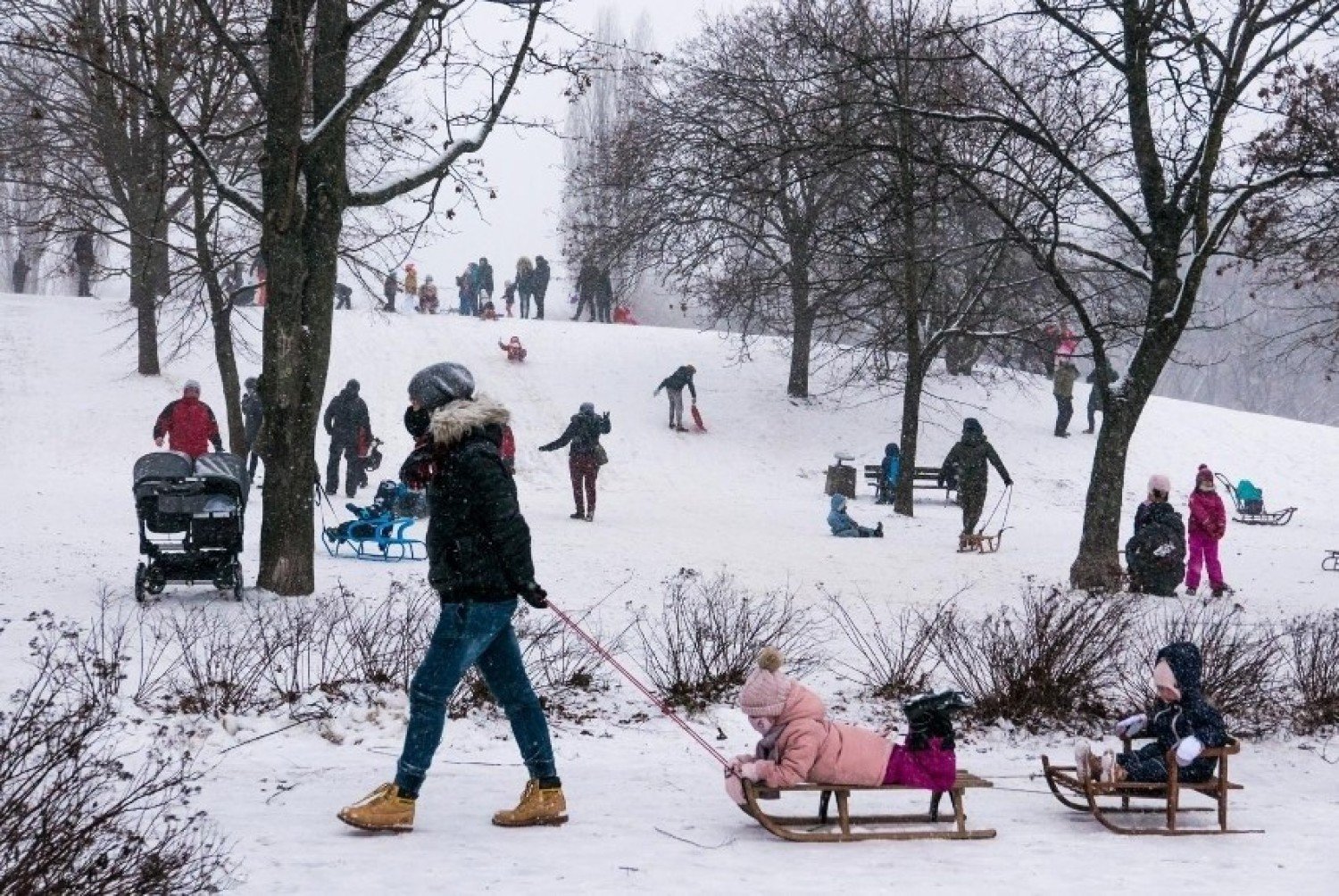 W Rzeszowie dzieci i młodzież w czasie ferii nie będą się nudzić. W  kalendarzu "Ferii zimowych w Rzeszowie" jest prawie 300 wydarzeń | Rzeszów  Nasze Miasto