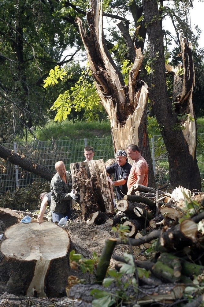 Legnica: 800 osób sprzątało park (ZDJĘCIA)