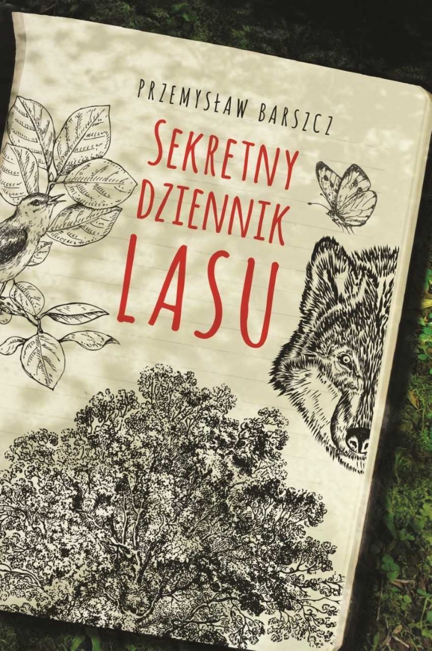 Wakacje z książką. Prawdziwe historie, które budzą szacunek i mrożą krew żyłach [konkurs rozwiązany] 