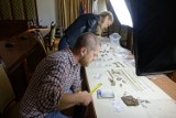 Niezwykłe odkrycie archeologów z nyskiego muzeum. W centrum miasta wykopali skarb!