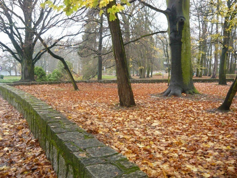 Wolsztyn. Park Miejski zostanie zrewitalizowany.