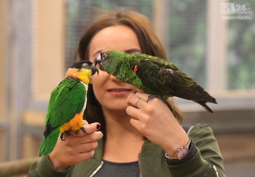 Egzotyczny Szczecin – nowa papugarnia w naszym mieście