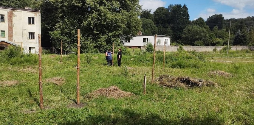 Azyl u Nikodema planuje wyprowadzkę z Miastka! Ponoć nie ma tu klimatu na pomaganie