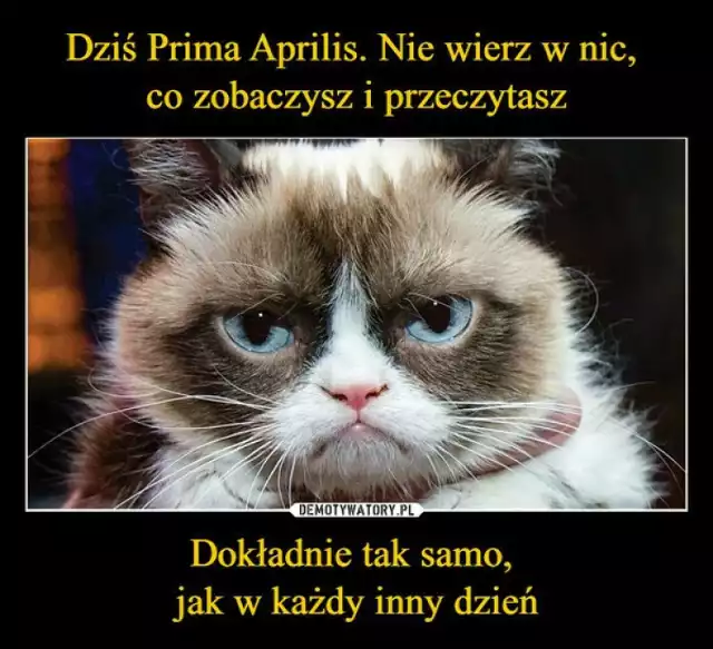 Memy na Prima Aprilis!