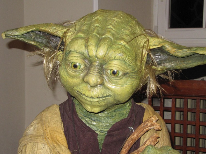 Mistrz Yoda - zbliżenie