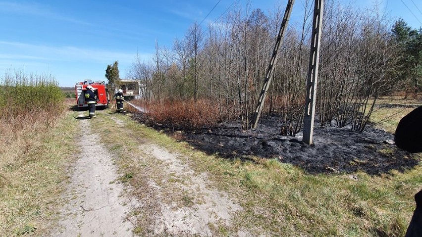 Powiat bełchatowski. Zerwana linia energetyczna spowodowała pożar