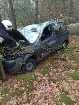 Wypadek w Anielinie na drodze krajowej nr 48. Kierowca skosił słup i wjechał w las [ZDJĘCIA]