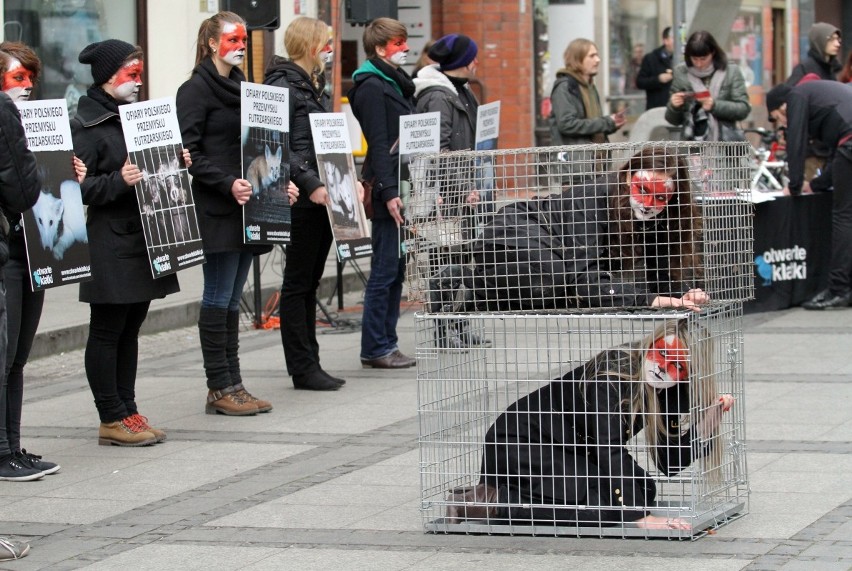 Wrocław: Protest przeciwko hodowli zwierząt na futra (ZDJĘCIA)