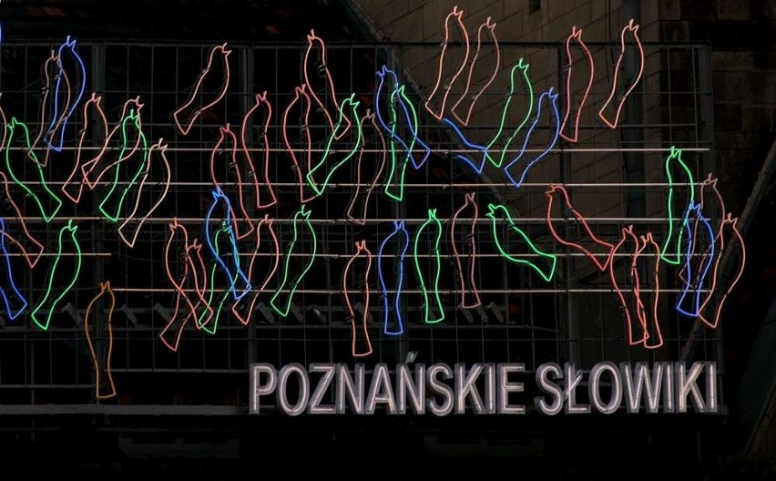 27 procent głosów otrzymał neon Poznańskich Słowików