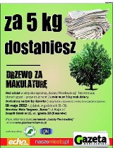 Wrocław: Przynieś makulaturę - dostaniesz drzewko spod Śnieżki