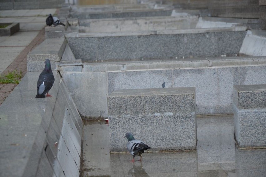 Plac Staffa w Skarżysku-Kamiennej się sypie, na remont nie ma pieniędzy. Zobacz, jak wygląda