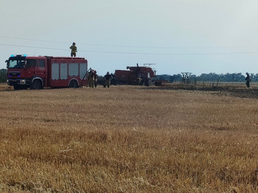 Goślinowo. Pożar na polu. Interweniowała straż