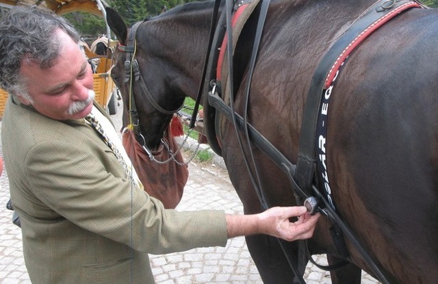 Weterynarz Marek Tischner badał konie kilka minut po tym, jak wyjechały z pełnym wozem na Włosienicę