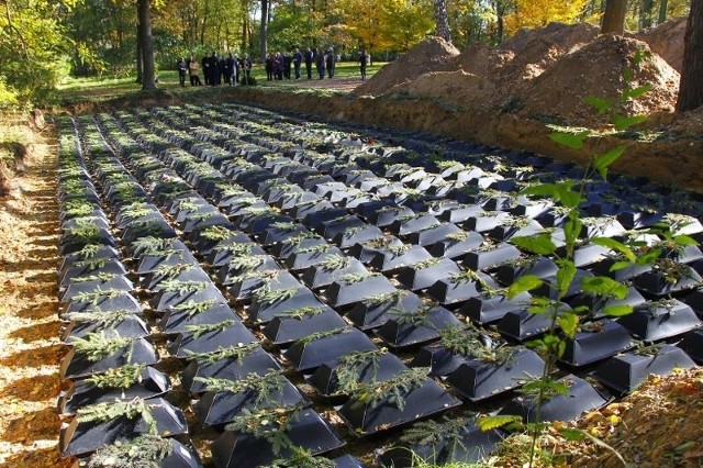 Pogrzeb niemieckich żołnierzy, którzy zginęli w czasie II wojny światowej na terenie Wielkopolski.