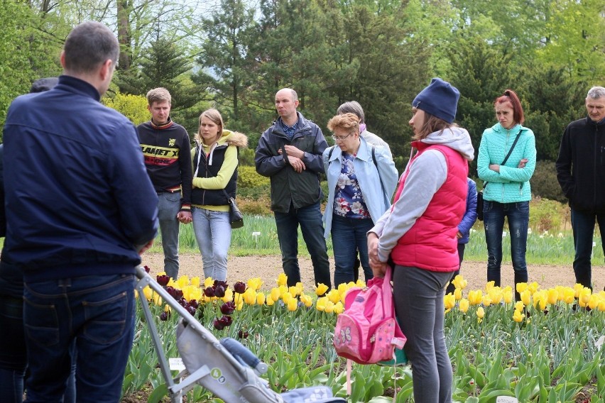 Wiosna rozkwita w lubelskim Ogrodzie Botanicznym UMCS (ZDJĘCIA)