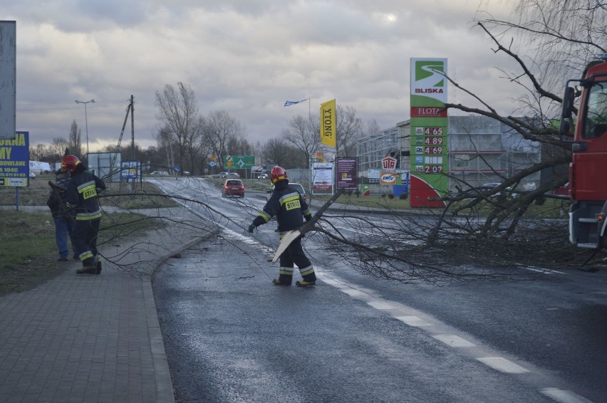 Wichura w Zgorzelcu [ZDJĘCIA]