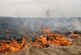 Mieszkanka Przemyśla zginęła w pożarze traw