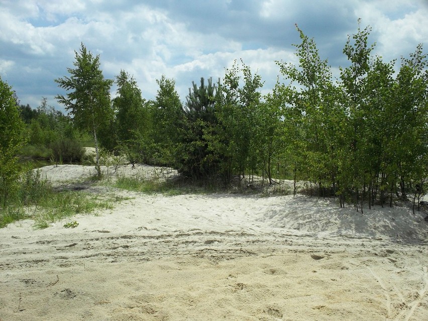 Gdzie się wolno kąpać i plażować nago? Lista plaż dla...