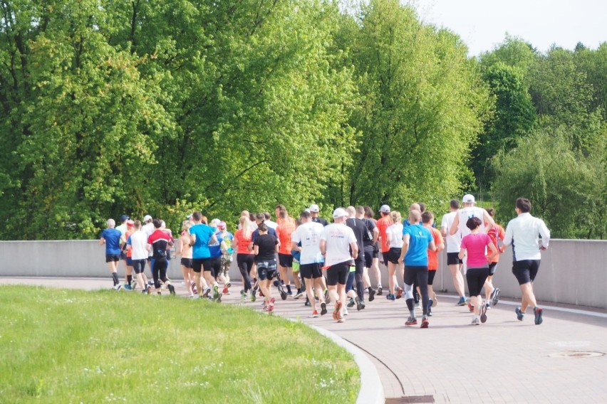 Trening biegowy w ramach akcji "Biegaj w Krakowie"