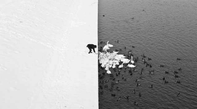 Autor fotografii twierdzi, że czerń i biel zdjęcia przypomina mu chiński symbol yin i yang