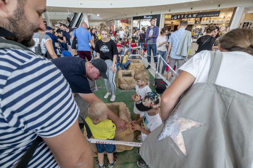 Poznań: Fascynujący Świat Dinozaurów w Posnanii. Prehistoryczne gady opanowały galerię handlową