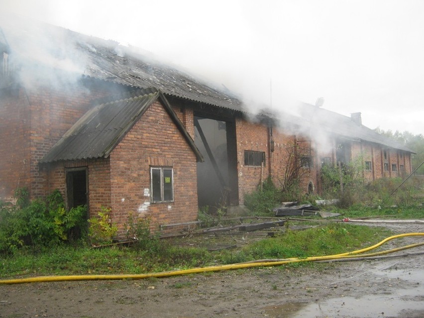 Pożar stodoły przy ulicy Kasztanowej w Łodygowicach z 7...