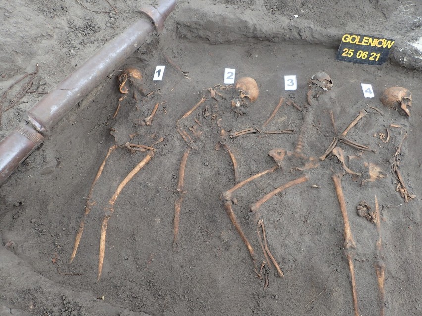 Rodzina pochowana pod drzewem w Goleniowie. Kości zostały wydobyte