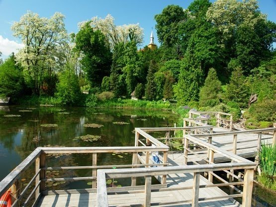 Arboretum w Bolestraszycach