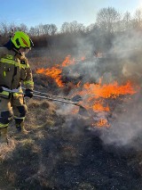 Coraz więcej pożarów traw w powiecie gdańskim. "To zagrożenie dla zdrowia i życia ludzi" | ZDJĘCIA