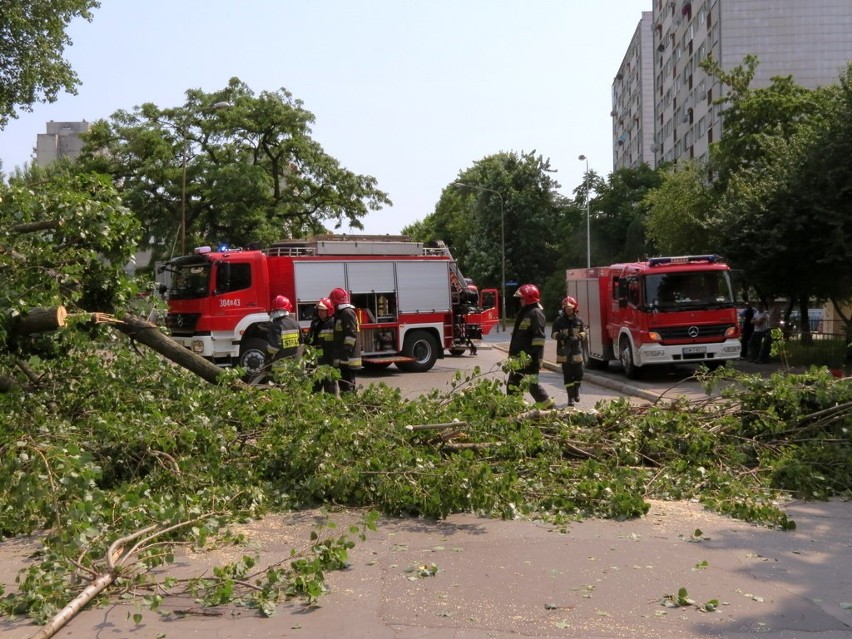 Wrocław: Trzy drzewa przewróciły się na ul. Litomskiej (ZDJĘCIA)