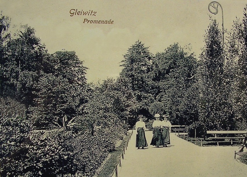 Lata 1905-1915, Promenada w miejskim parku.