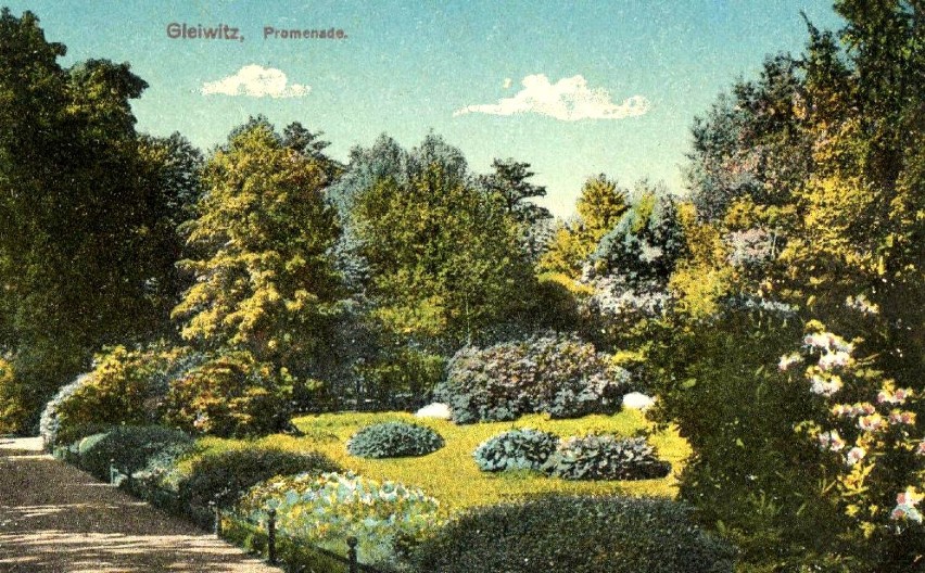 Lata 1905-1915, Fragment gliwickiego parku - dziś Park...