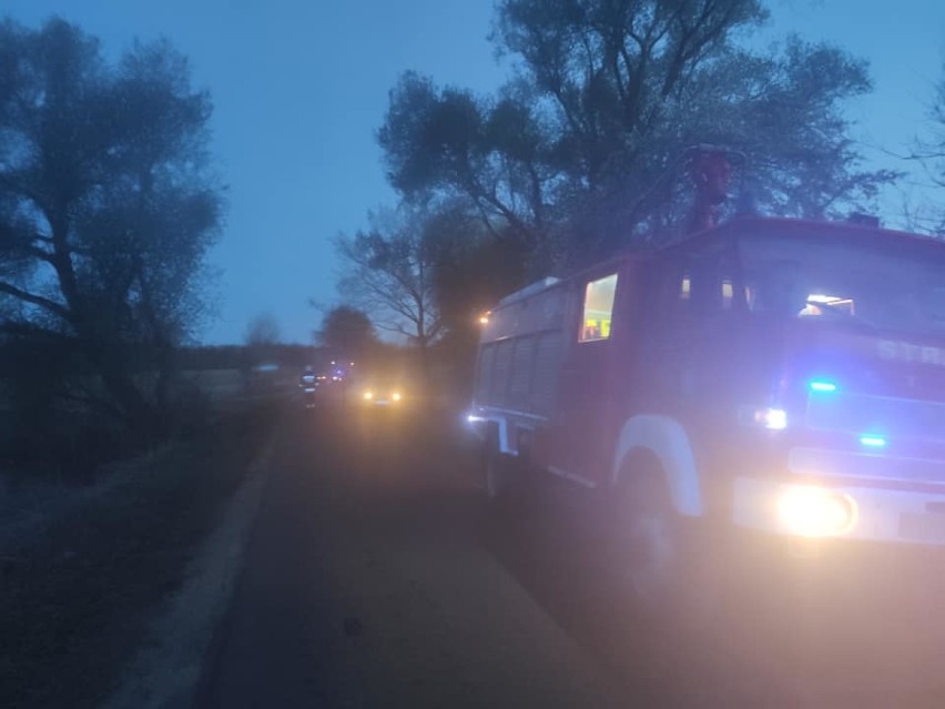 Gmina Mieleszyn: pijany kierowca uderzył w drzewo