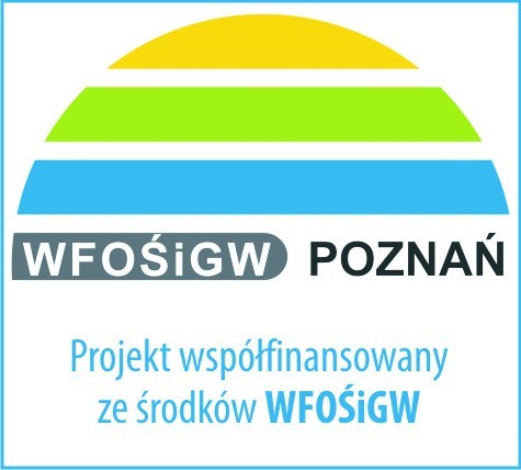 Czy do Wełny wrócą łososie i pstrągi? Taki plan mają naukowcy z Poznania 