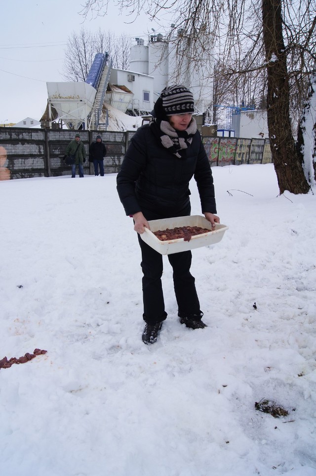 Bociany czekają na wiosnę i pomoc