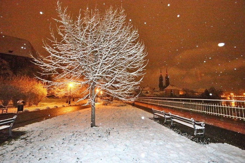 Wrocław. Piękną mamy zimę tej wiosny. Zobaczcie zdjęcia