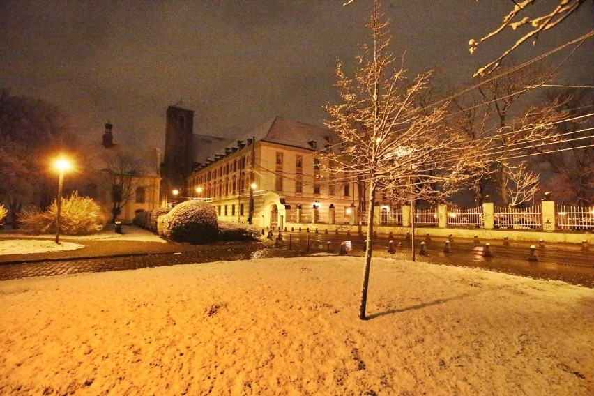 Wrocław. Piękną mamy zimę tej wiosny. Zobaczcie zdjęcia