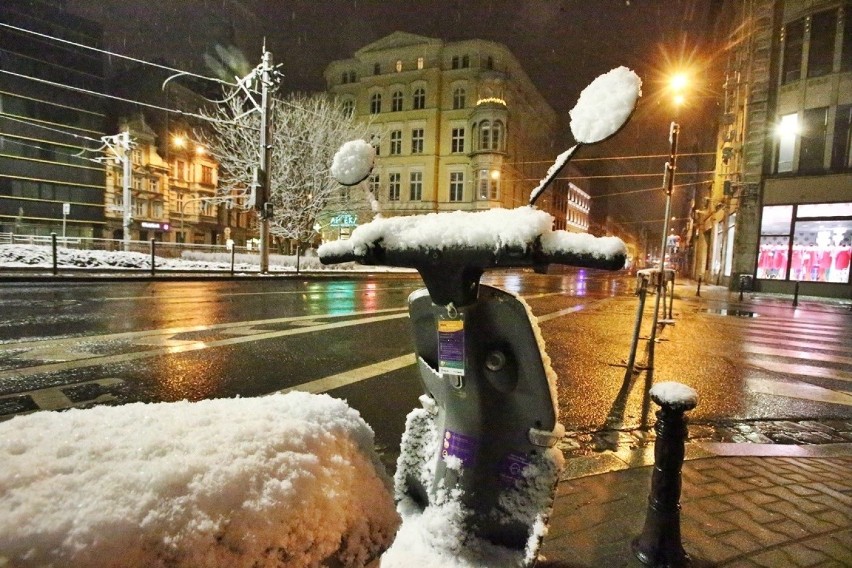 Wrocław. Piękną mamy zimę tej wiosny. Zobaczcie zdjęcia