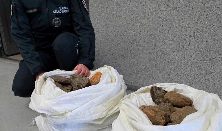 Takie okazałe bryły bursztynu zatrzymali celnicy na granicy...