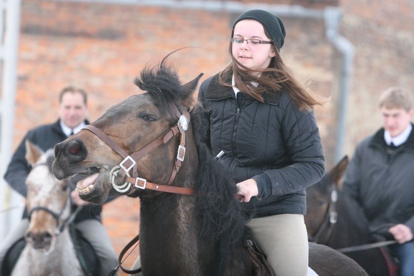 Arcybiskup Wiktor Skworc na procesji konnej w Pietrowicach Wielkich [ZDJĘCIA]