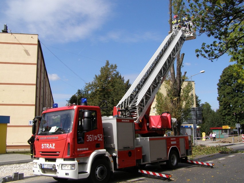 Tarnów: duże utrudnienia przez rozchwianą topolę [ZDJĘCIA]