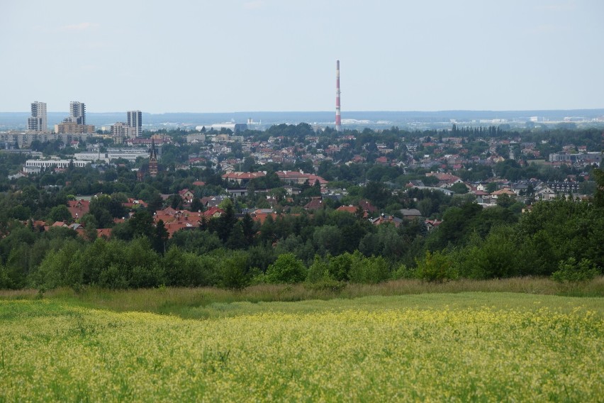 Zobacz przepiękną panoramę Rzeszowa ze wzgórza na pograniczu Słociny i Matysówki. Warto wybrać się tam na spacer