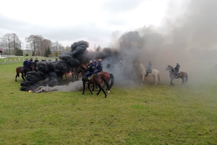Jeździeckie szkolenia służb mundurowych w Gajewnikach koło Zduńskiej Woli ZDJĘCIA