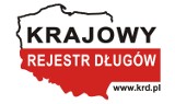 KRD: Polacy nie płacą rachunków za telefon - 822 mln złotych długów