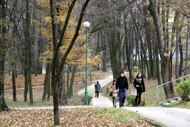 UMCS planuje rewitalizację parku wokół Chatki Żaka