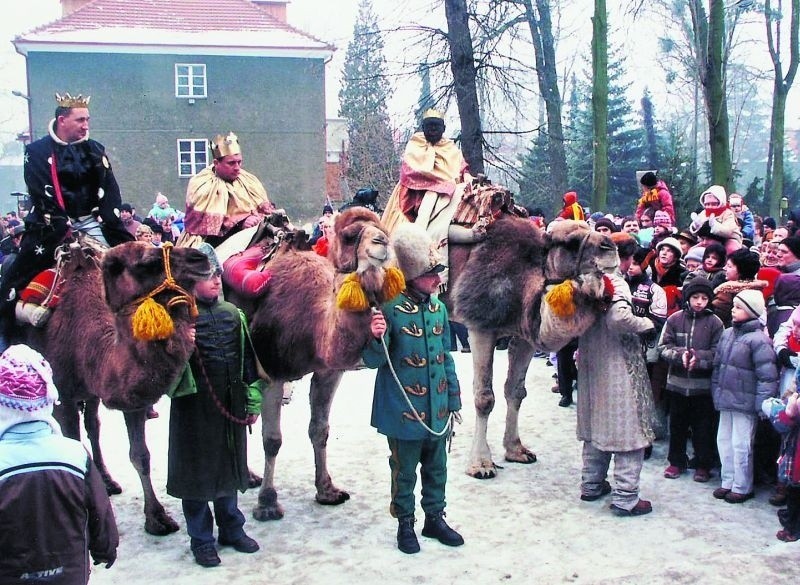 Historia wielbłąda jednogarbnego Abdula zdecydowanie należy...