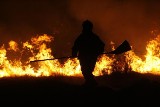Wielki pożar w Bielance: spłonęło 20 tys. kurcząt [ZDJĘCIA, VIDEO]
