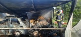 W Karsinie pożar dwóch garaży blaszanych gasiły 4 zastępy strażackie. Zdjęcia